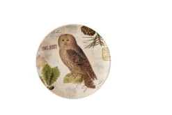 Wildlife Trail Salad Plates - Owl Set Of 4